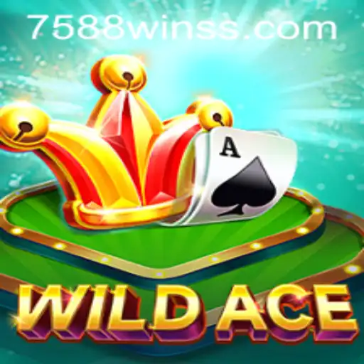 Exploring WildAce: The Thrilling World of Strategy and Chance